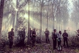 People dressed as soldiers and carrying guns stand beneath a forest of tall trees as the sun's rays pierce through the trees.