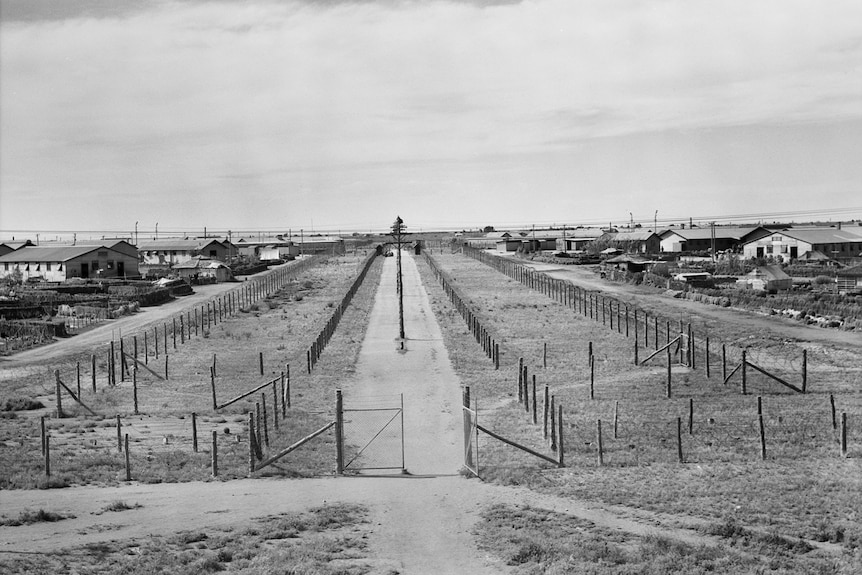 A wide picture of an internment camp, with fencing prominent and dwellings on either side.