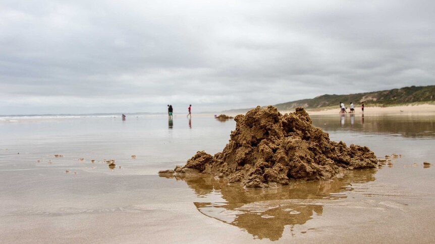 Sand piles at Venus Bay.