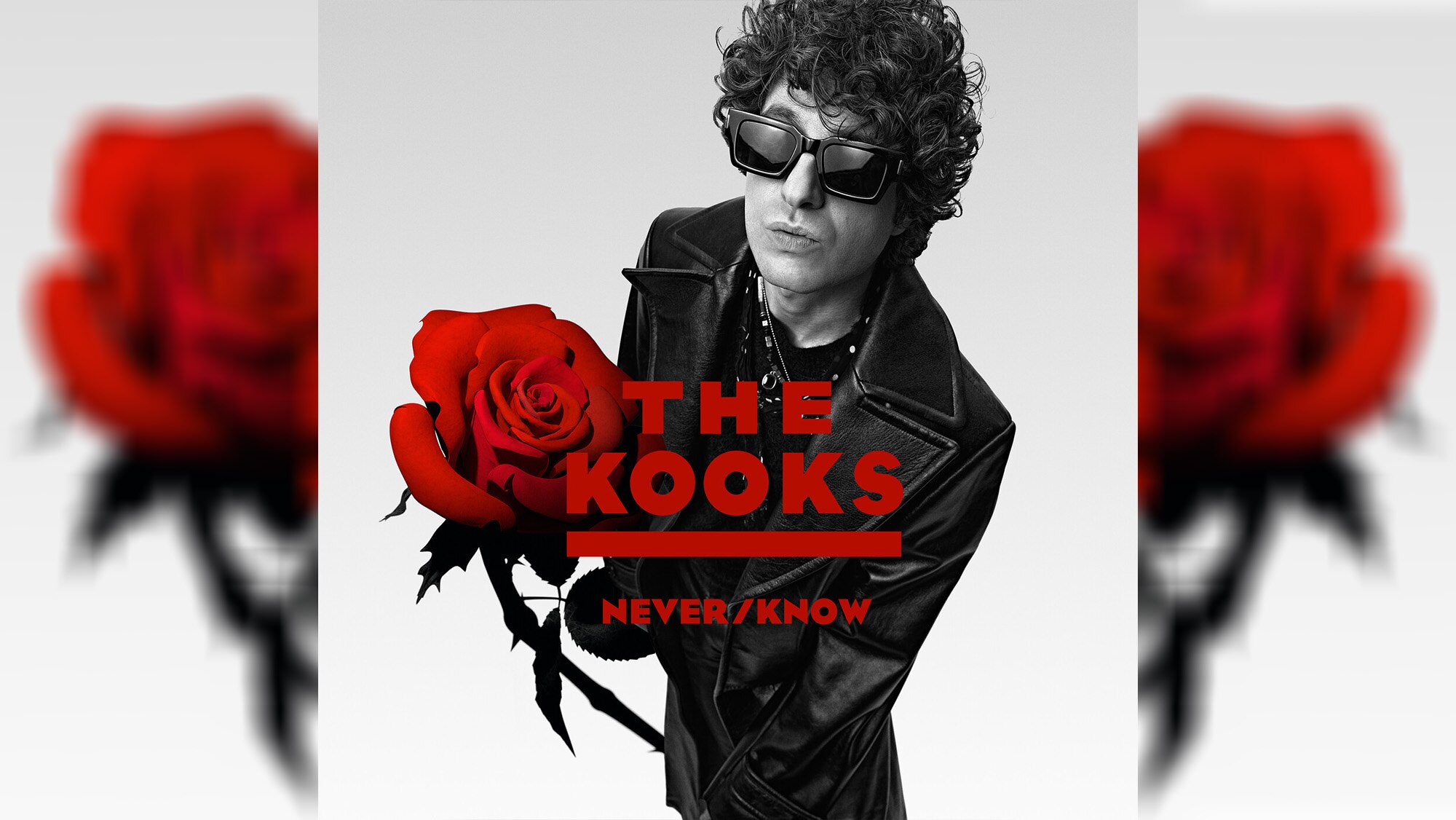 The Kooks — Never/Know - Double J