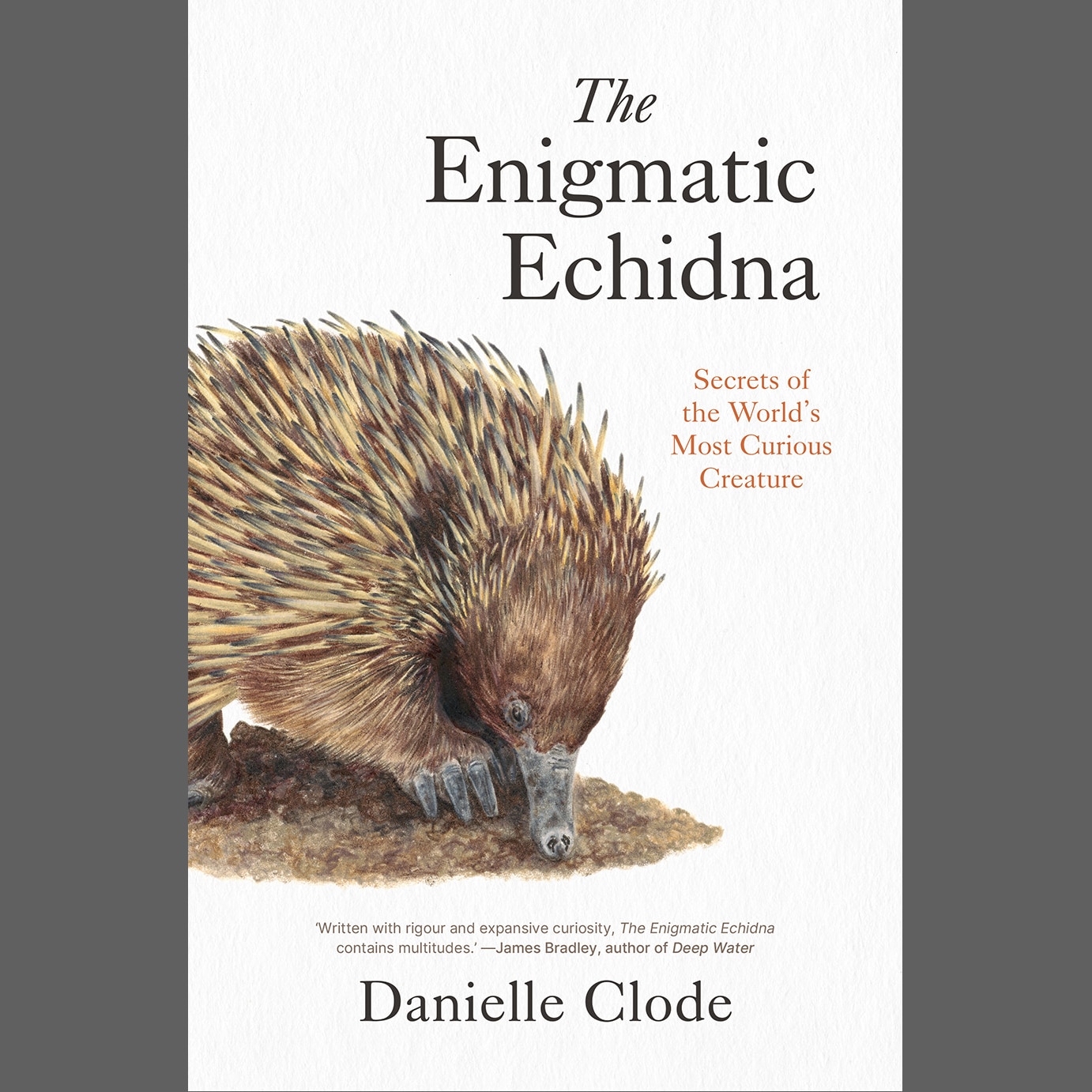Book cover showing an echidna