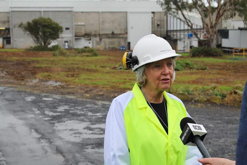 A woman wearing fluo and a hard hat stands in front of a brick building