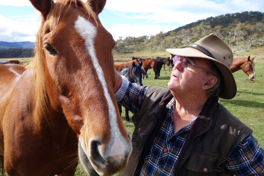 Peter Cochran with wild horses