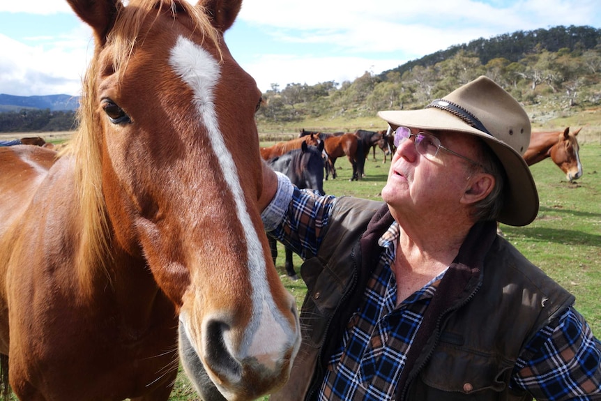 Former NSW Nationals MP Peter Cochran strongly argues that a sustainable number of brumbies should stay in the alps.