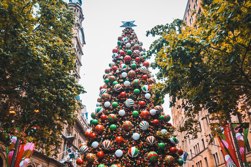 Árbol de Navidad gigante con adornos verdes, rojos y blancos rodeado de árboles y edificios altos 