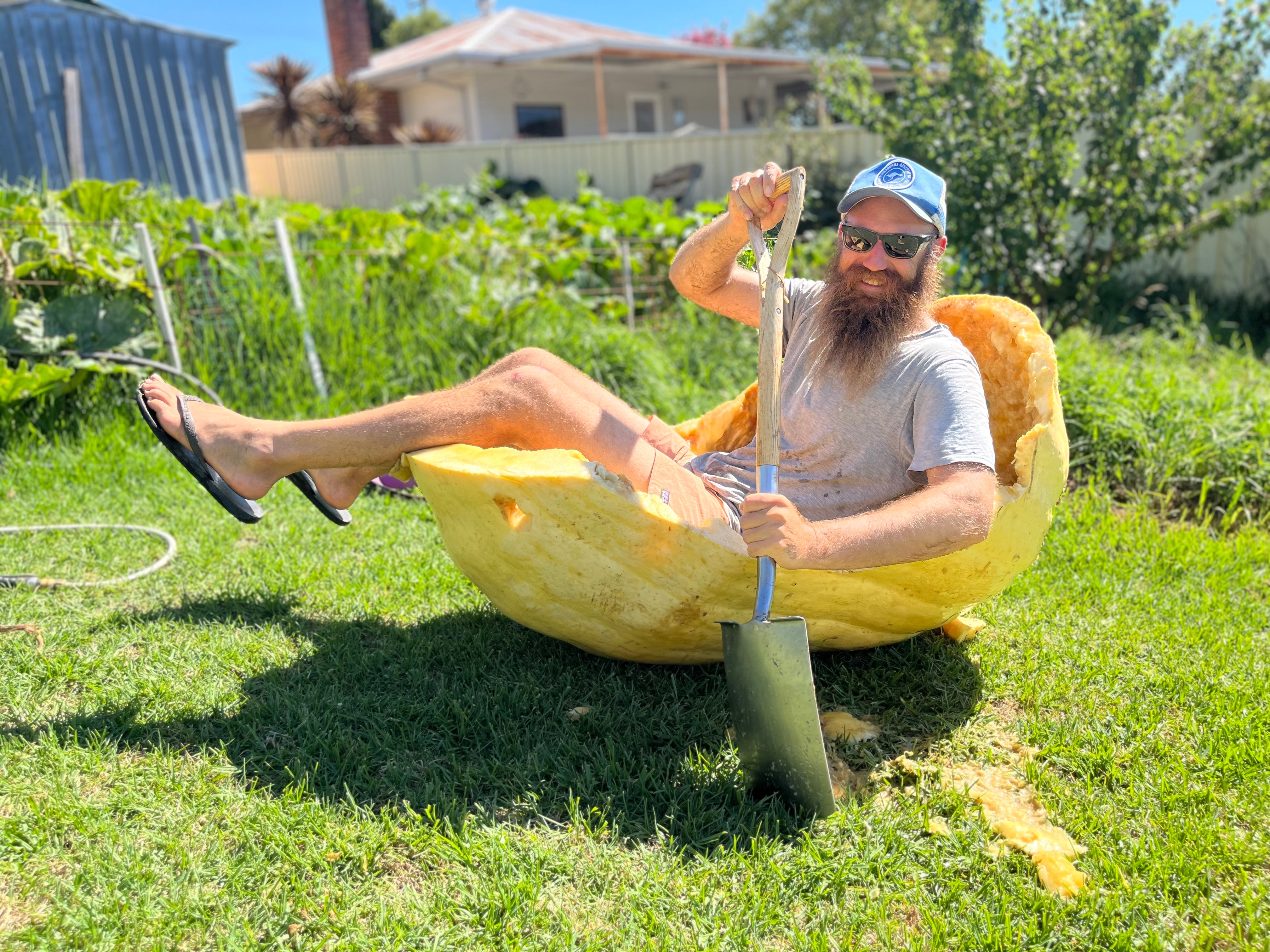 Tumut's dream to grow nation's biggest pumpkins can't be squashed