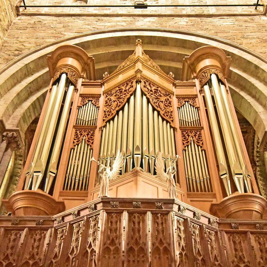 A photograph of the pipes of a grand cathedral organ.