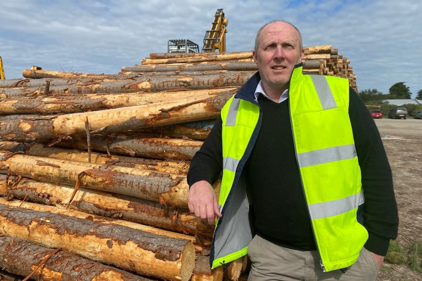 A man in a high vis vest leans on a large pile of wooden logs in an outdoor stockyard with a bobcat in the background.