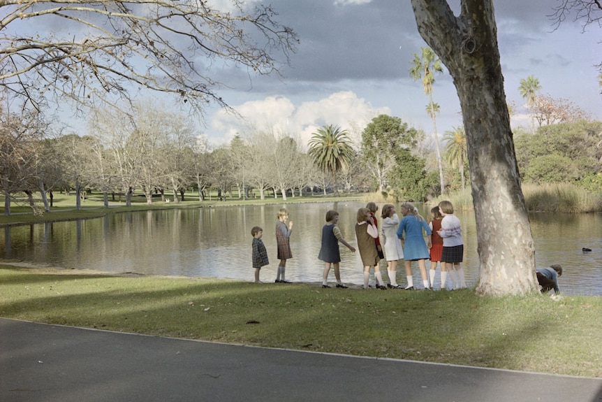 Children stand under a tree by a lake bank looking at the water