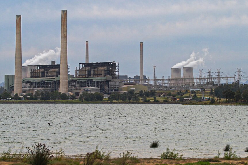The Liddell power station in the Hunter Valley.   