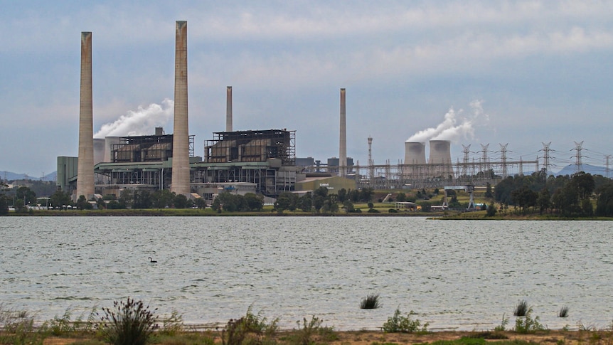 The Liddell power station in the Hunter Valley.   