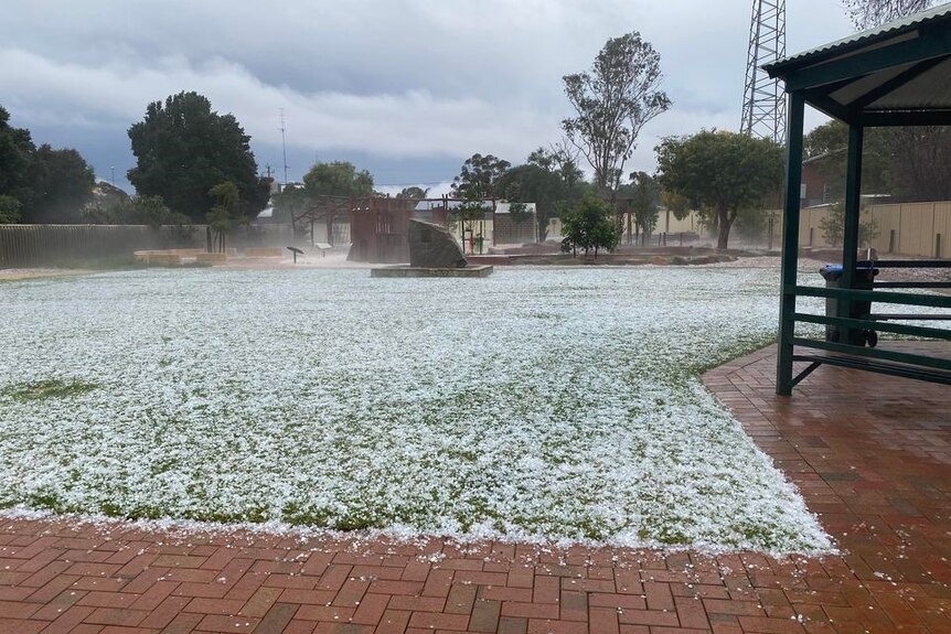 Hail blankets a park after a storm in Goomalling, Western Australia.