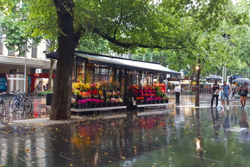 Rain in Melbourne