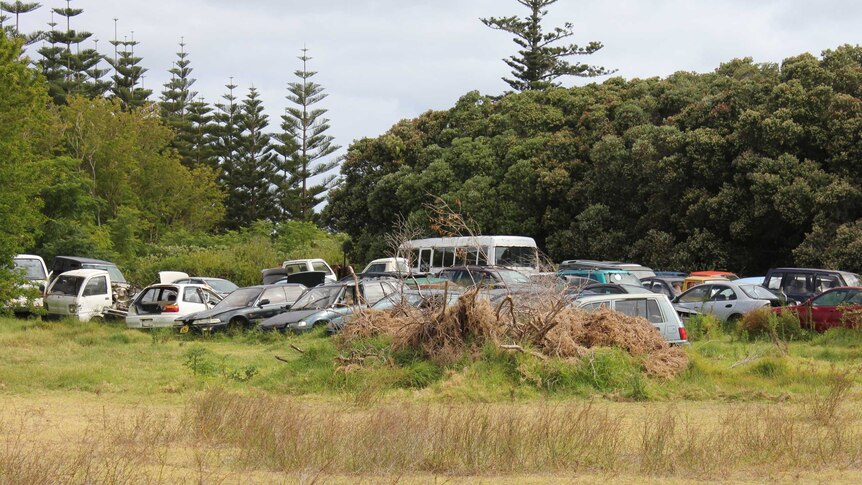 A yard of used cars.