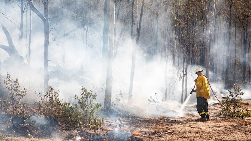 Firefighter douses bushfire at Pechey on Queensland's Darling Downs.