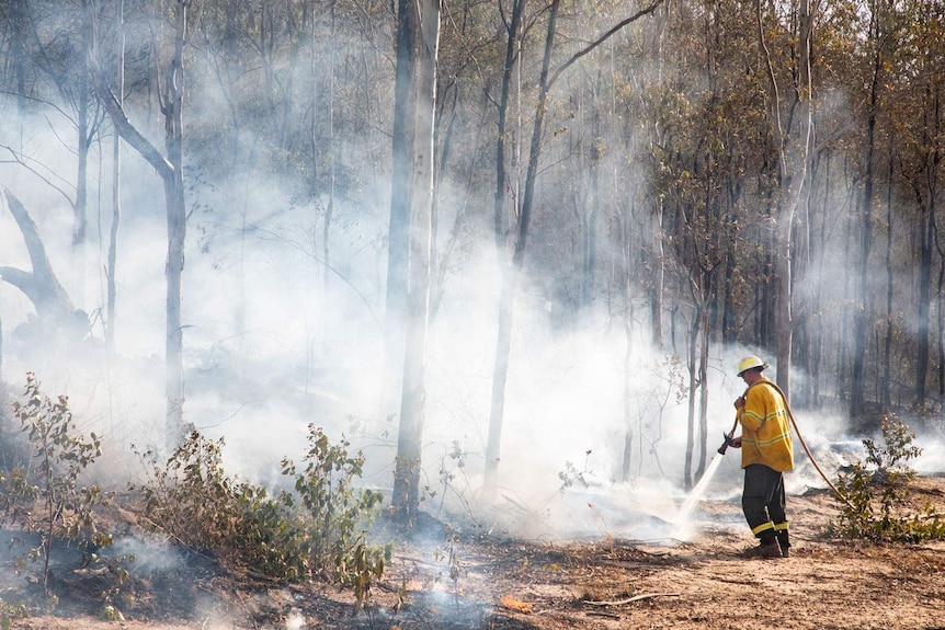 Firefighter douses bushfire at Pechey on Queensland's Darling Downs.
