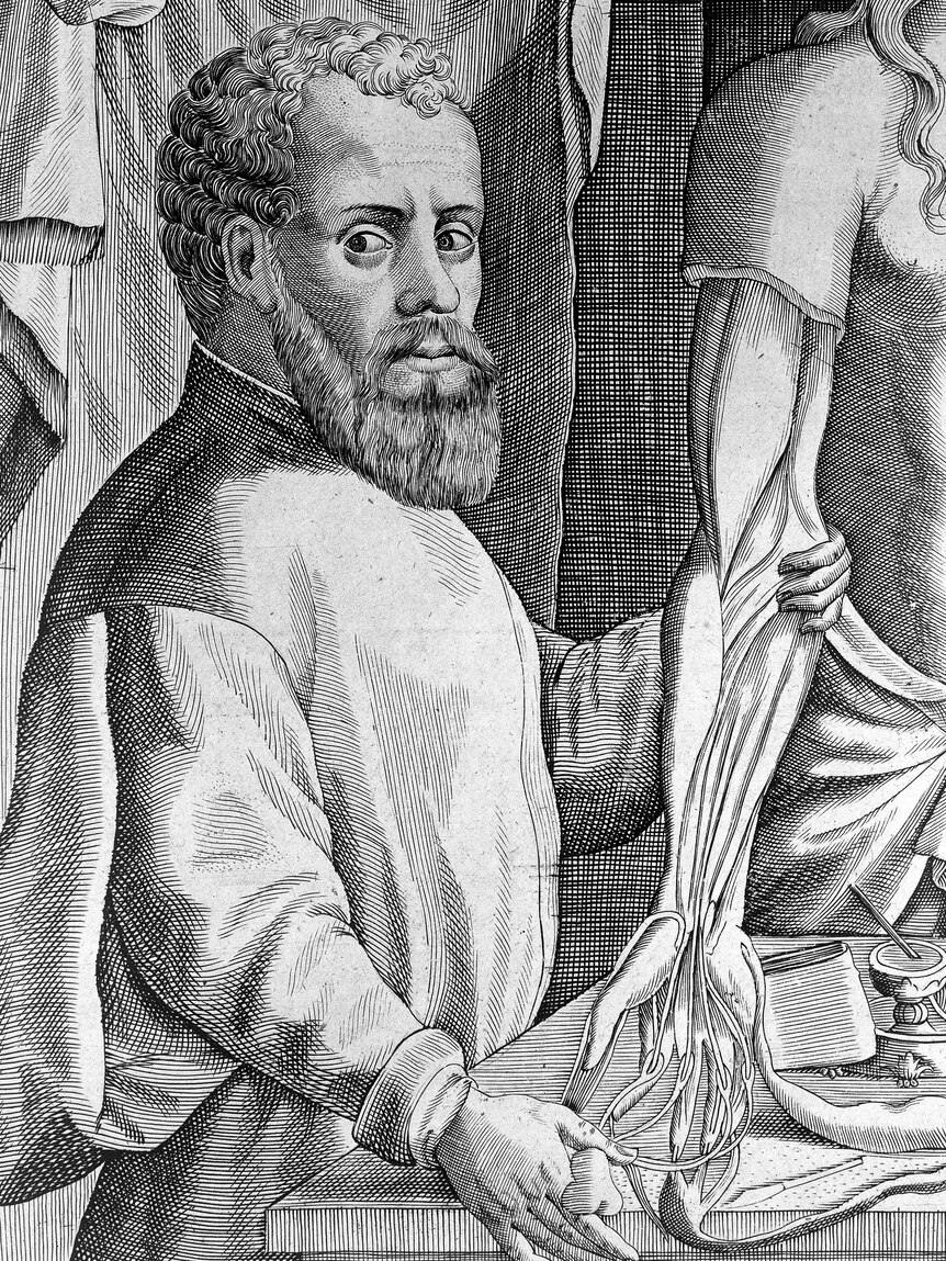 A black and white illustration of a man dissecting a human arm.