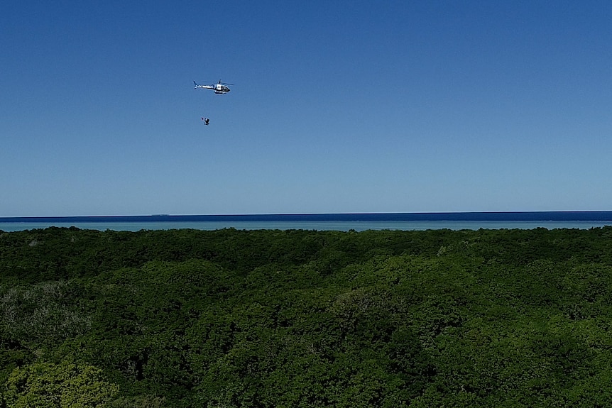 Brids eye shot of a forest, ocean behind, helicopter flying above.