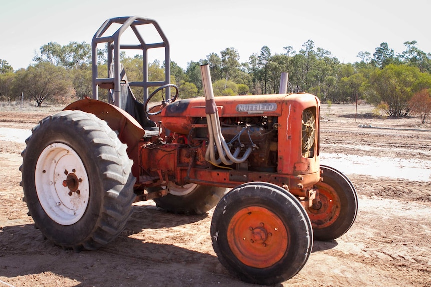 Modified Nuffield tractor with roll cage.