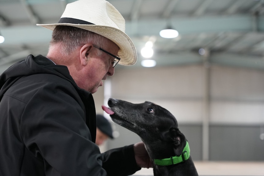 An older man wearing a hat looks down at a dog, which has its tongue out