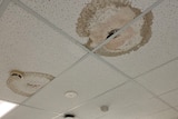 white ceiling with two large brown water stains 