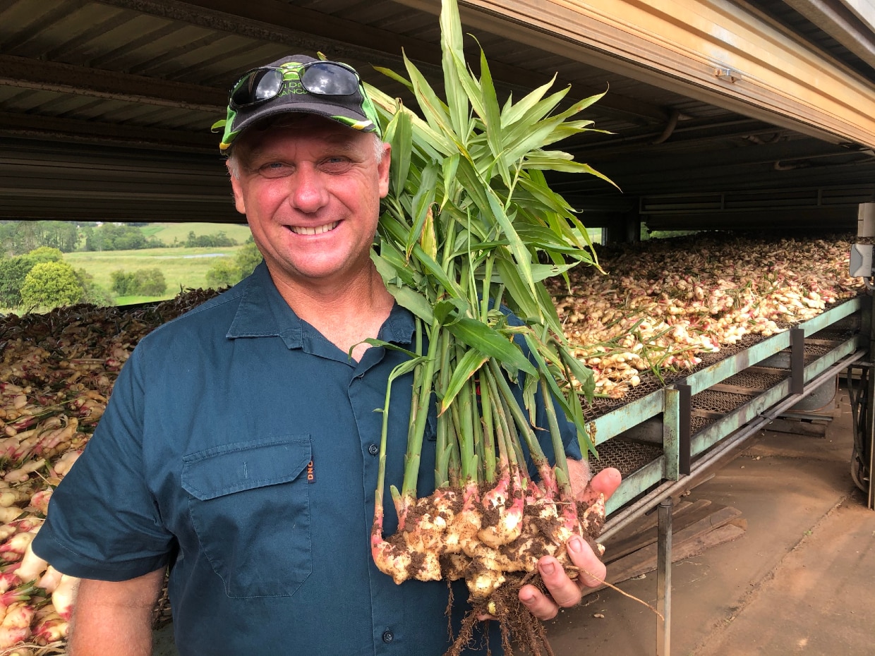 A man smiles at the camera holding fresh ginger which still has the stalks and leaves attached.