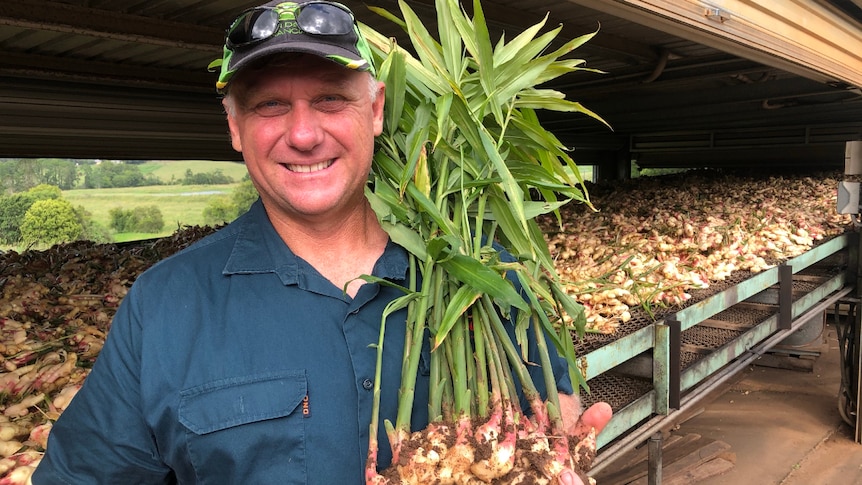 A man smiles at the camera holding fresh ginger which still has the stalks and leaves attached.