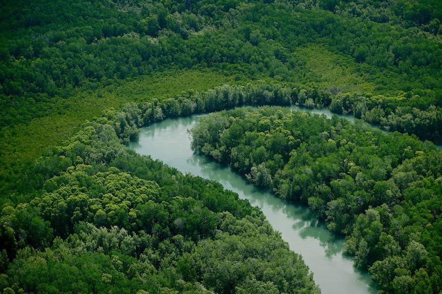 An aerial view of a serpentine river on the Tiwi Islands. 
