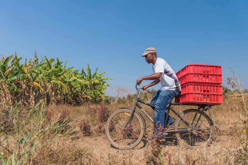 A man on a bike with red crates on the back.