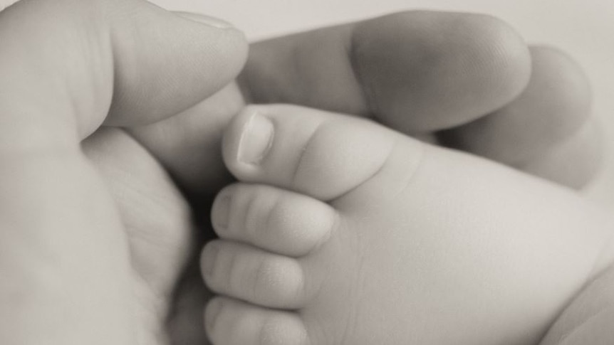 Black and white photo of a baby's foot being cradled by a hand