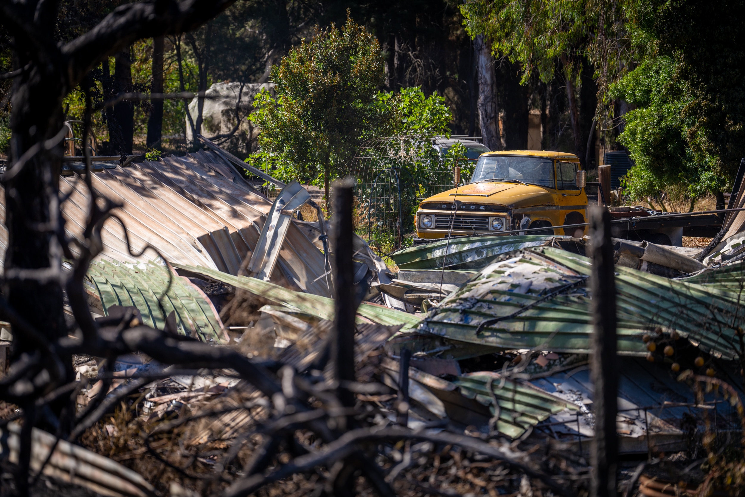 Una estructura con paredes de chapa ondulada se derrumbó entre árboles quemados junto a una camioneta