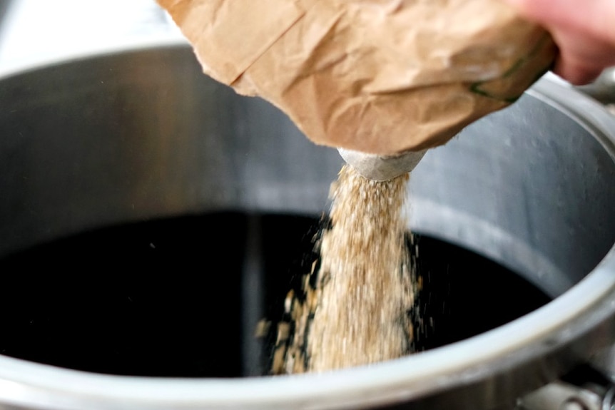 Malt pours into a large keg during brew day at Loophole Brewing Company.