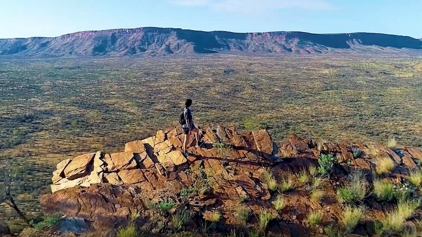 The view from the top of a cliff overlooking a lowland with scrub.