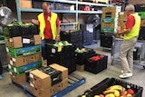 Food Rescue volunteers sort through boxes of produce, with racks of boxes behind them.