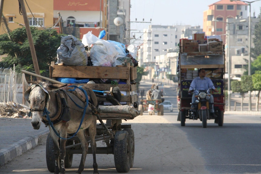 A wide photo of a donkey standing on a street while attached to a cart. A man on a motorbike pulls a cart further down the road.