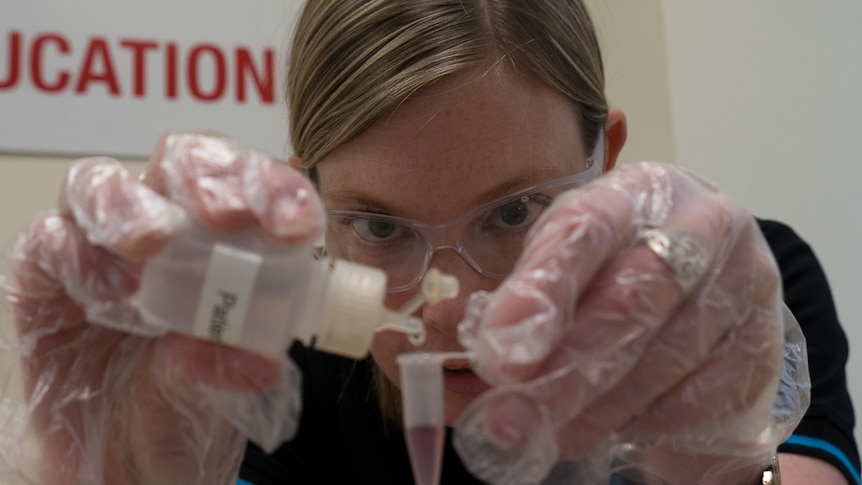 CSIRO Education officer Carly Siebentritt runs an experiment.
