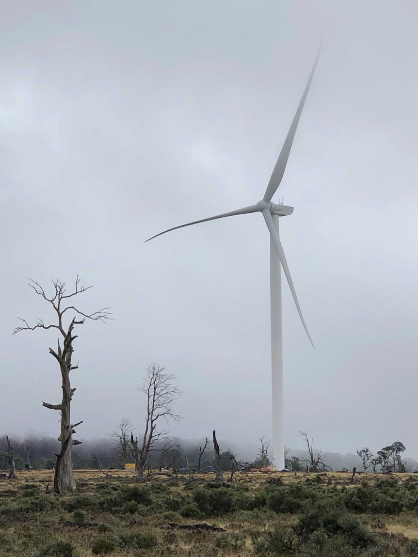 Turbine at Cattle Hill Wind Farm.