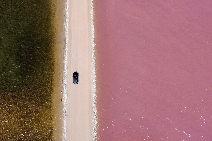 A car driving past a lake that is pink on one side. 