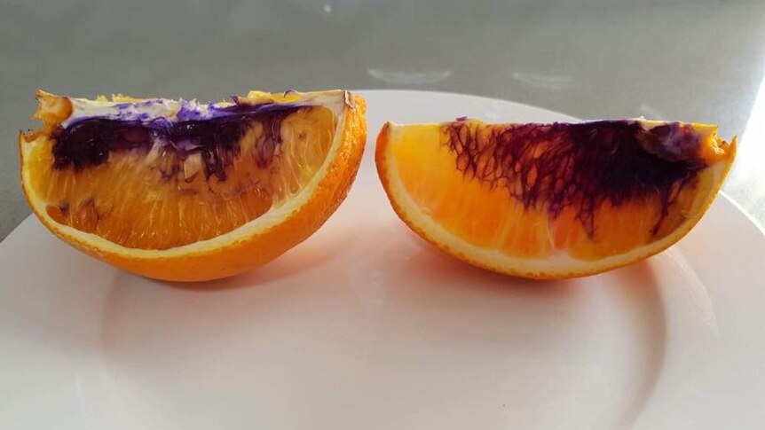 Slices of orange with purple colouring