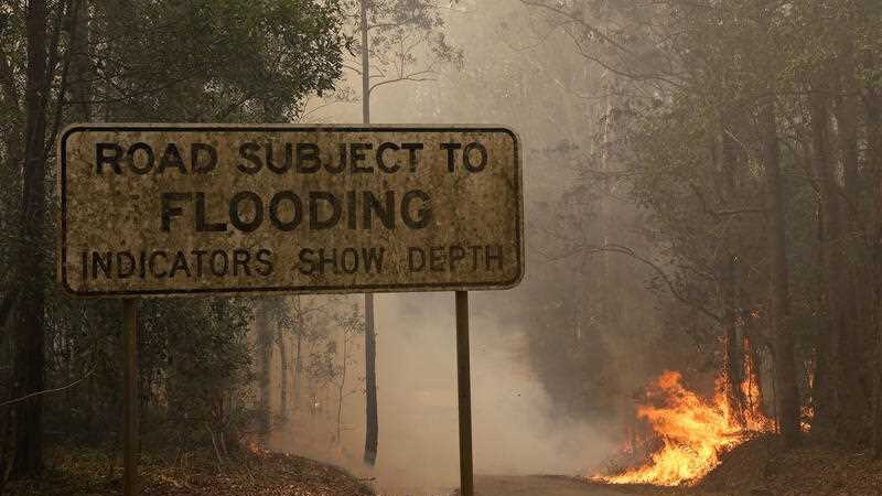 A smokey bushland scene