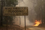 A smokey bushland scene