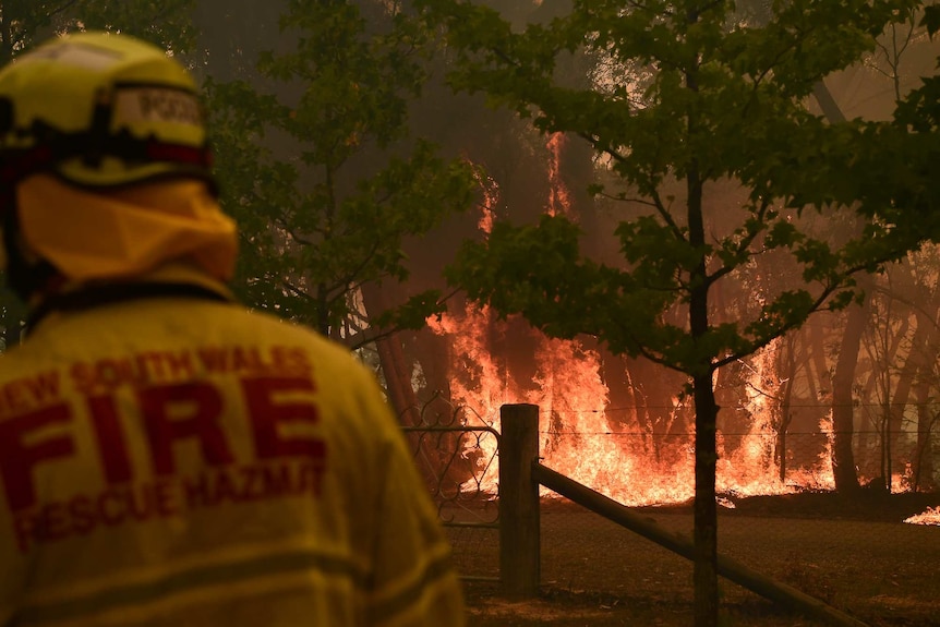A firefighter stares down a blaze