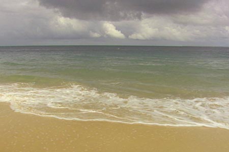 WAIT HOW THE OCEAN IS TURNING INTO A WARNING BEAST