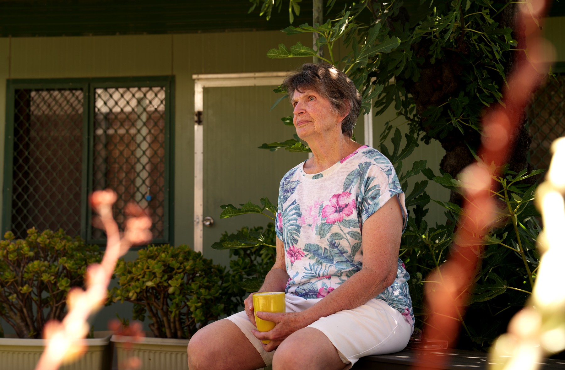 Vulnerable people at risk as charity Wattle House loses federal funding