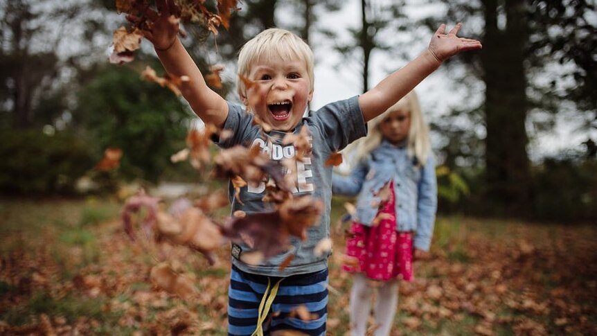 Children play in autumn leaves.