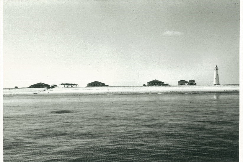 Lady Elliot Island pictured in the 1970s and bare of vegetation.