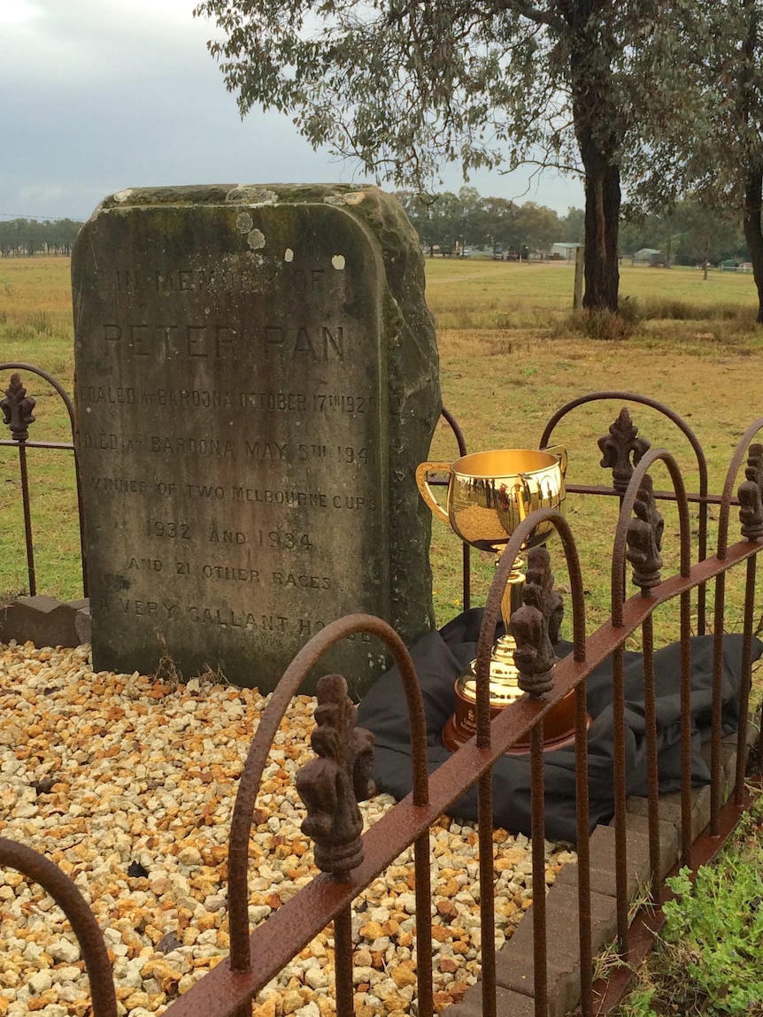 The Melbourne Cup trophy sits next to Peter Pan's grave in 2015.