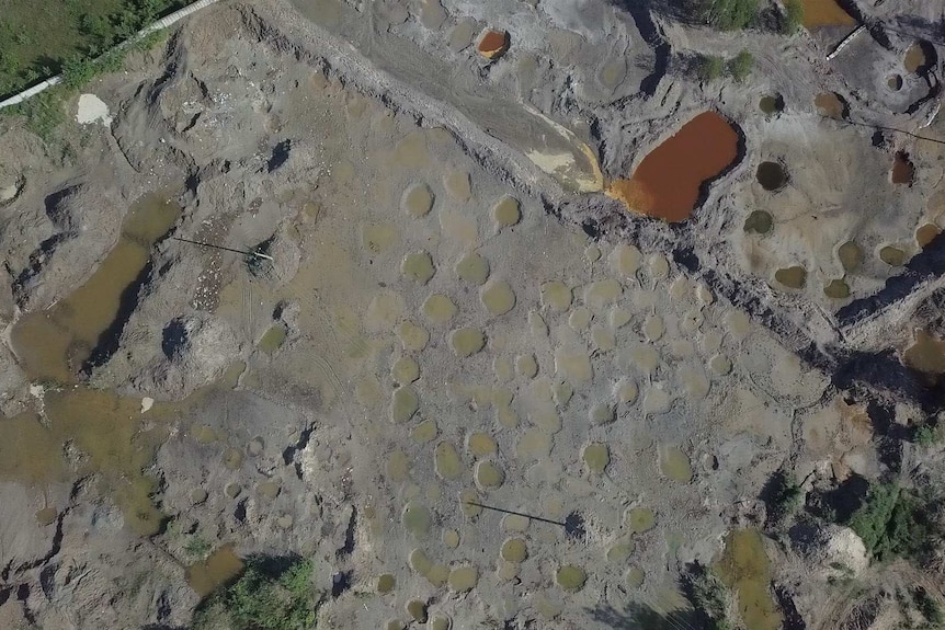 Brown and grey mud holes are filled with brown water.