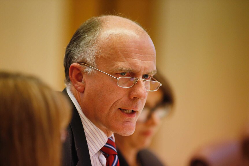 Leader of the Government in the Senate Eric Abetz during Senate Estimates at Parliament House in Canberra