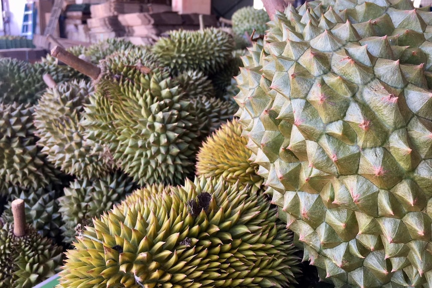 A container of durians in the shed at a Top End farm.